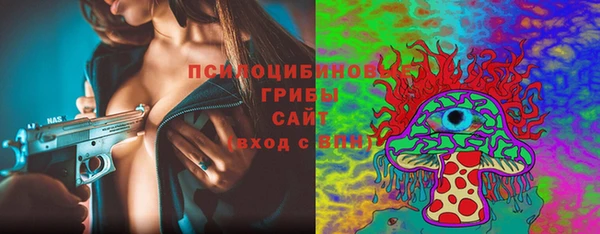 МДПВ Абаза