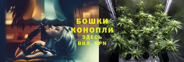 мяу мяу мука Грязовец