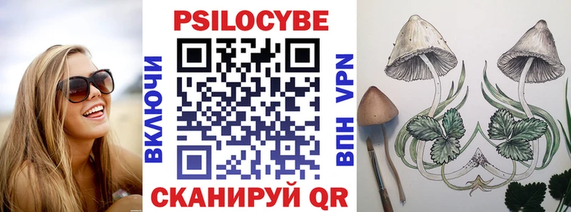 где купить наркотик  Кизляр  Псилоцибиновые грибы прущие грибы 
